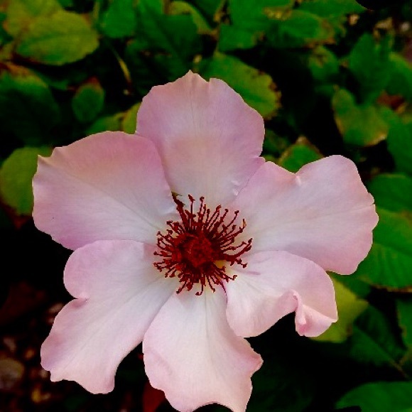 Fabulous Fashion - Picture 7 of 14